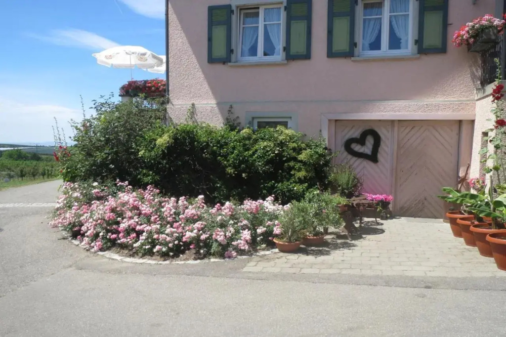 Gästehaus Frohe Aussicht
