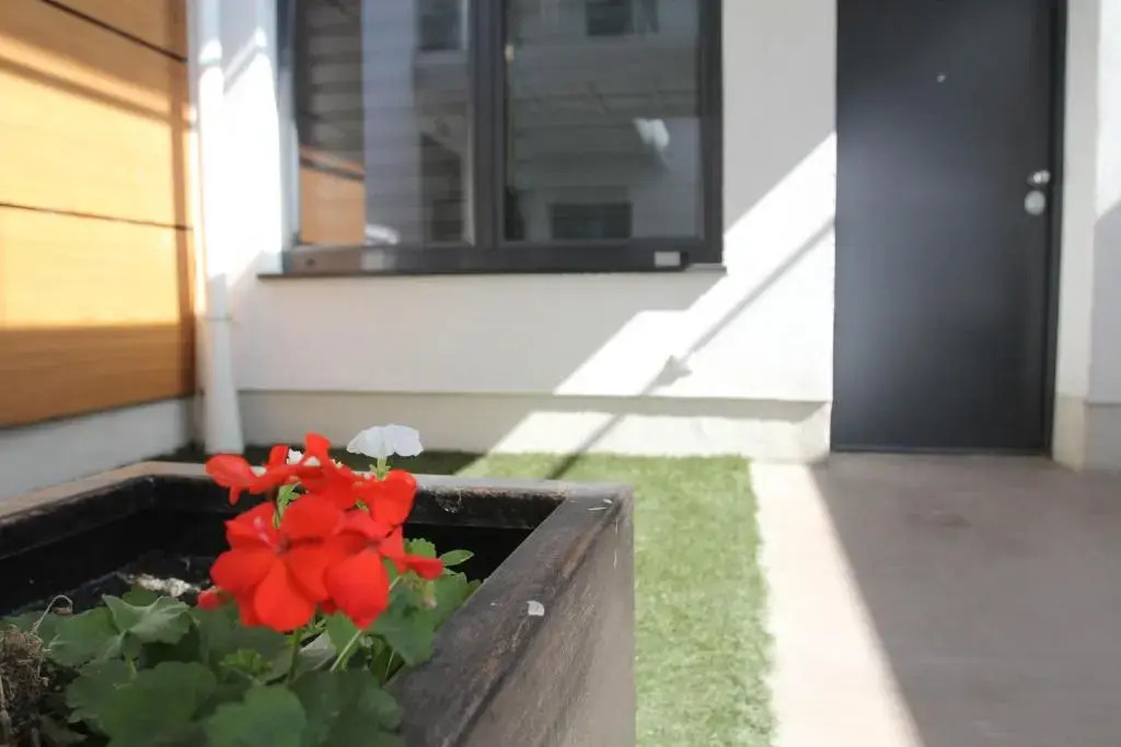 Bosnian Dream Apartments