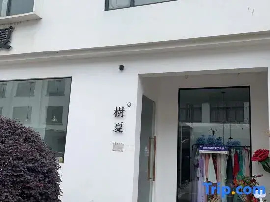 Wuzhen Xizha Shuxia Homestay