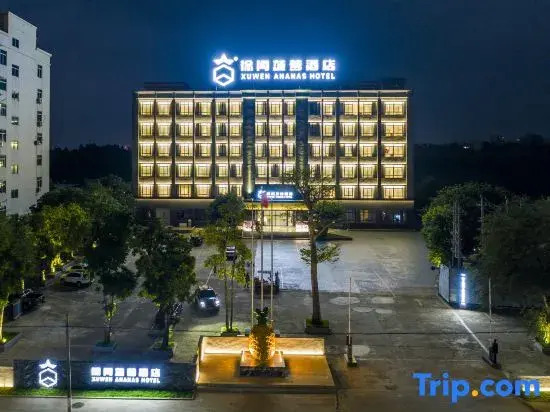 Xuwen Pineapple Hotel