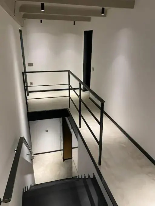 Huge modern flat in New town/Naujamiestis