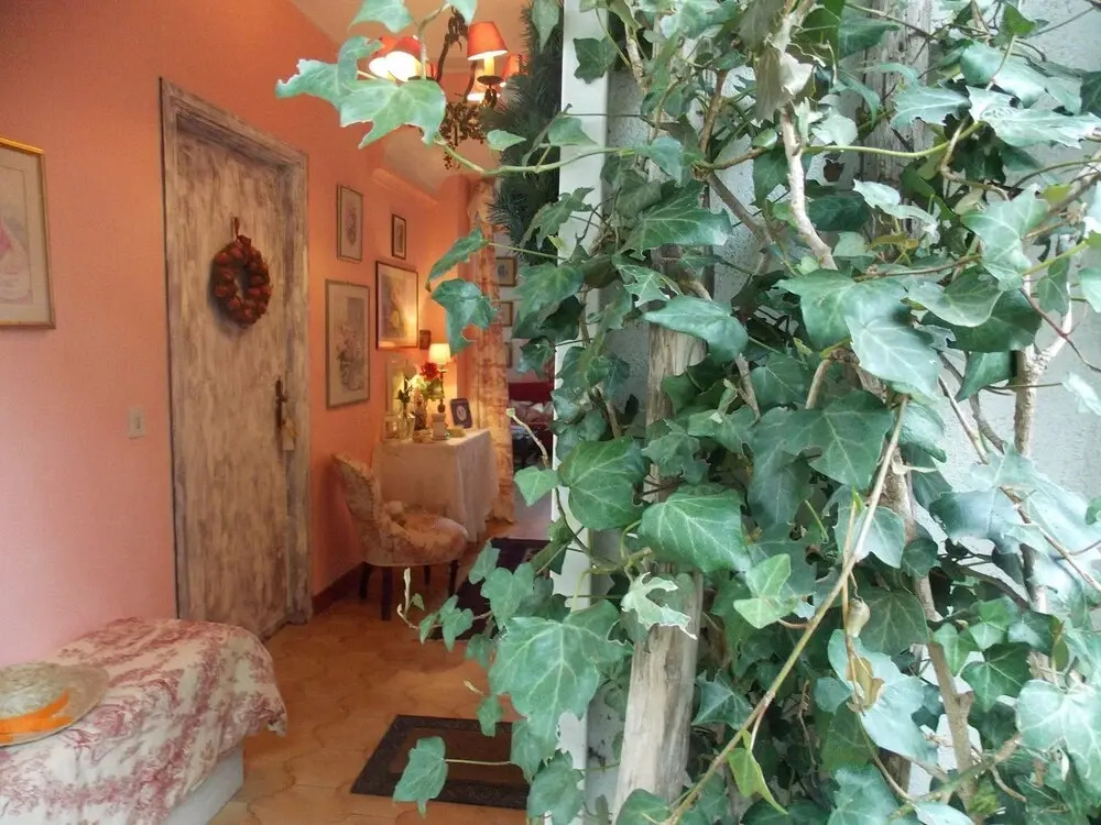 B&B Le Camelie del Bosco