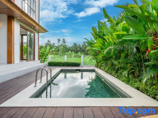 Tembaga villa - 2 BR Tranquil retreat in Ubud