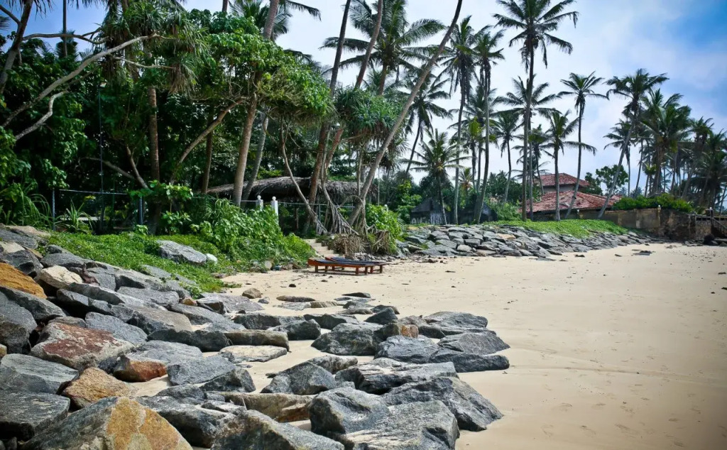 Blue Whale Boutique villa