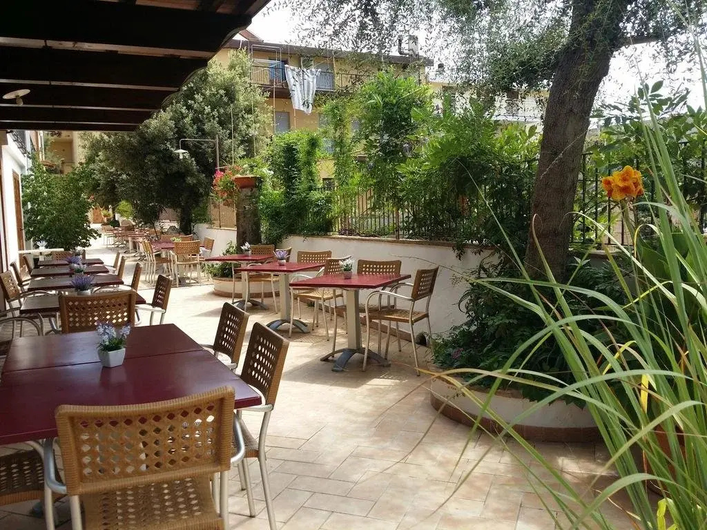 Hotel Plammas
