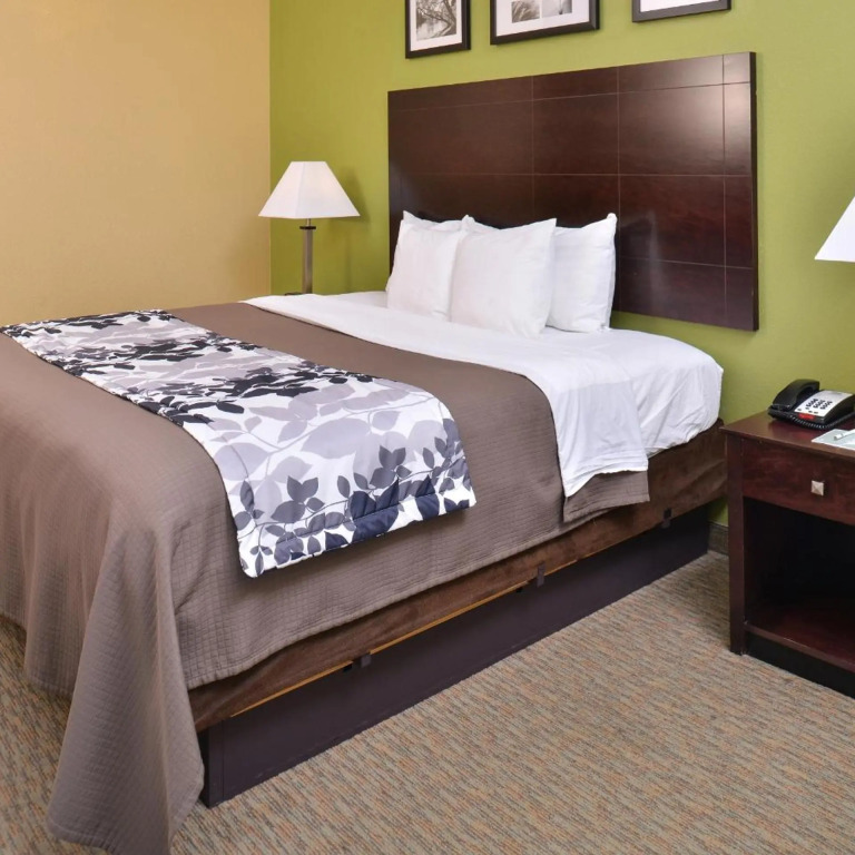 Sleep Inn & Suites Downtown Houston Near Convention Center