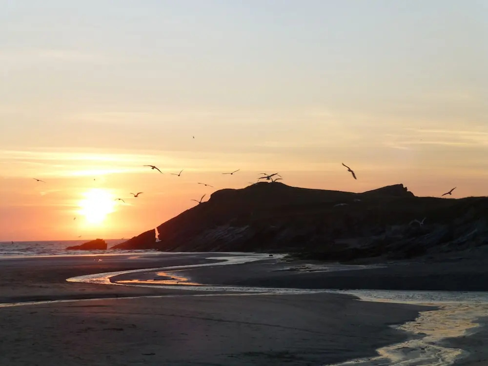 Sunset View