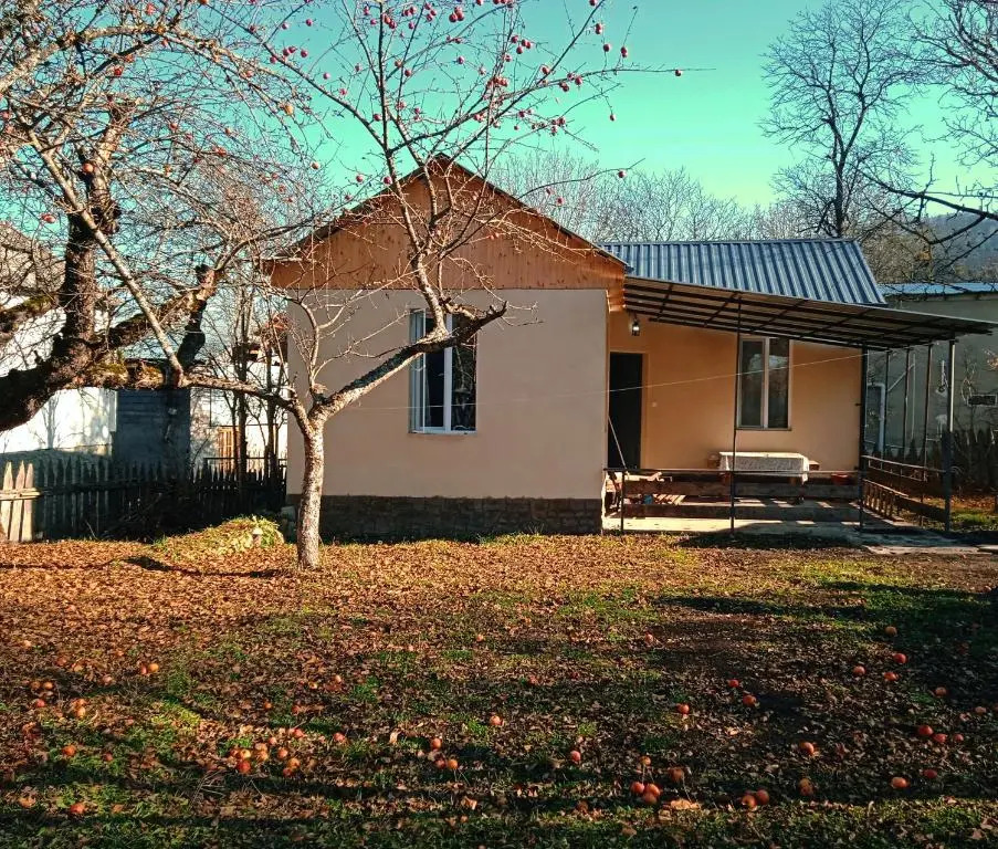 Corner house in Tsemi near Bakuriani