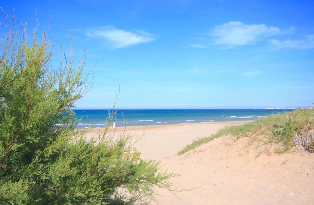Apartamento Playa Surf
