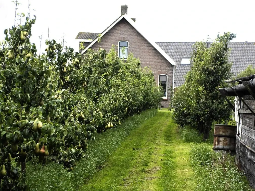 leisure retrete with costal nature