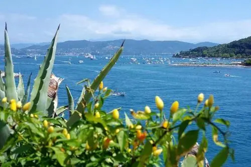 Flat 1 Bedroom 1 Bathroom - Portovenere