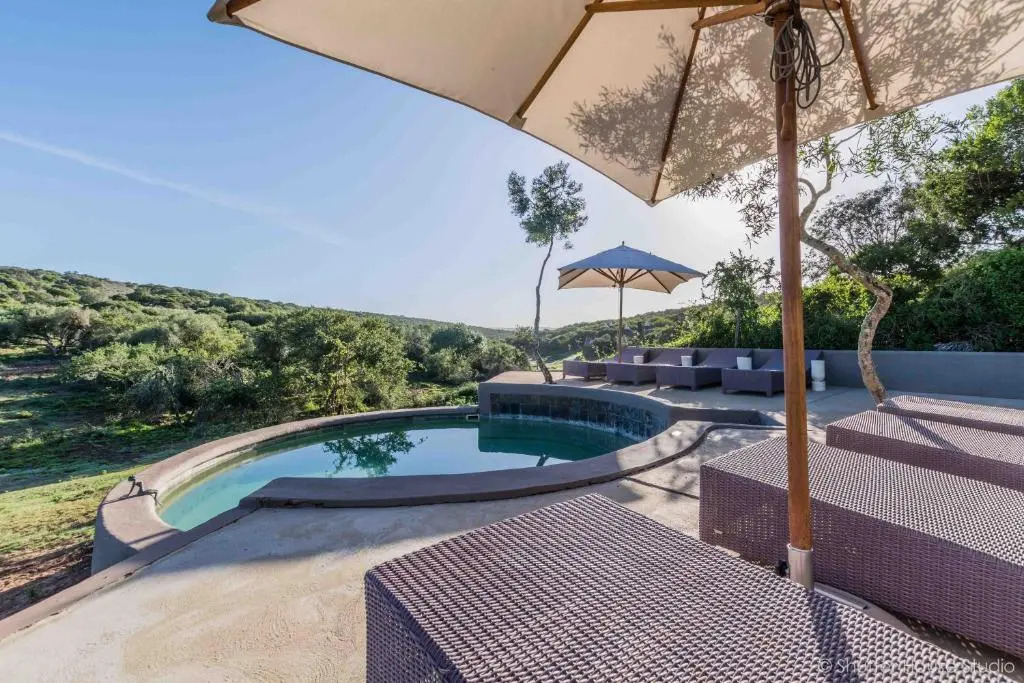 The Safari Lodge
