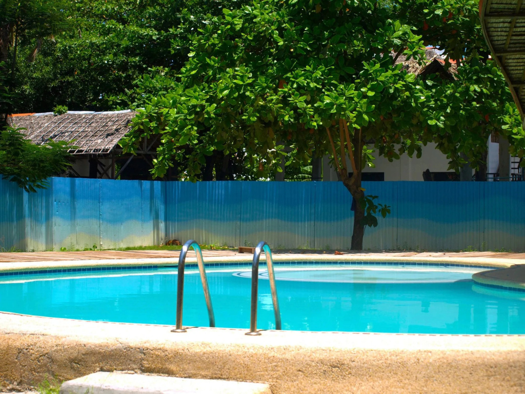 Purple Snapper Dive Resort