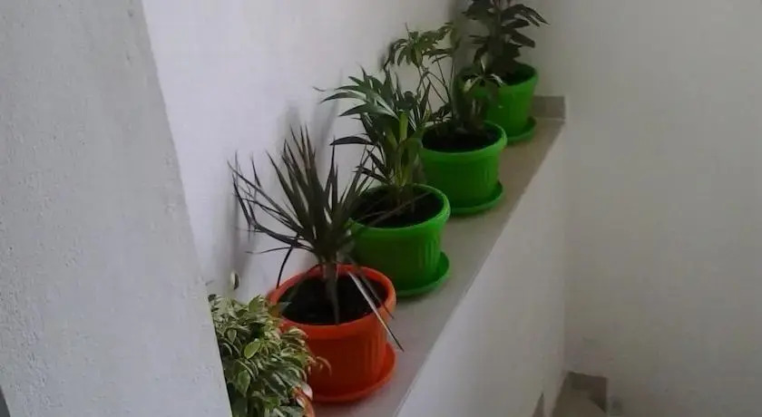 Summer SZ Guest House
