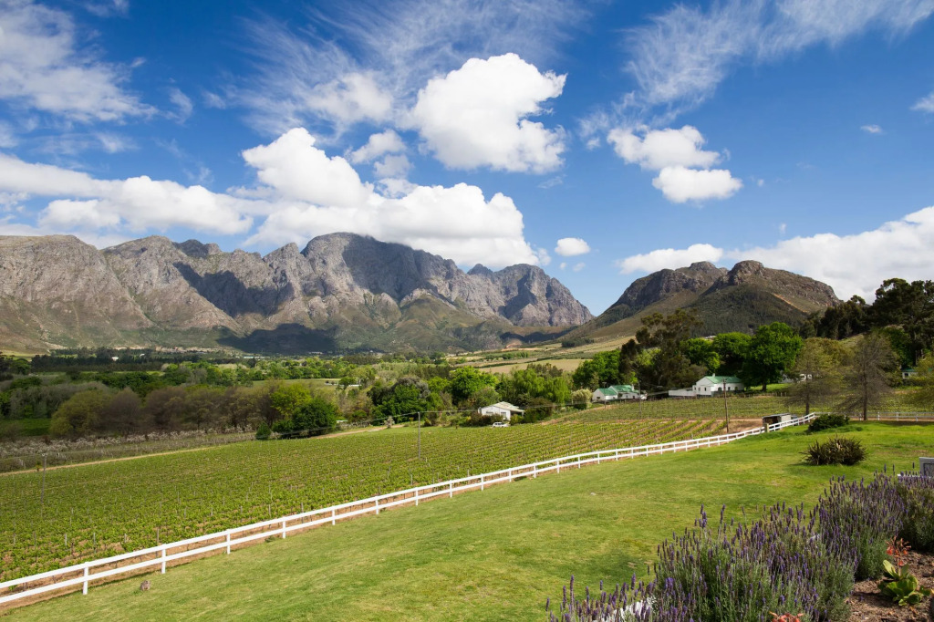 Mont Rochelle Hotel and Vineyard