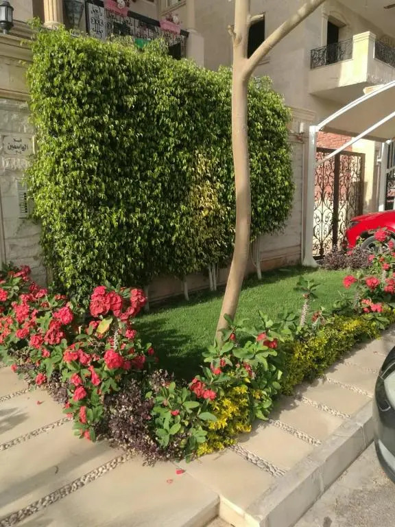 New Cairo Villa