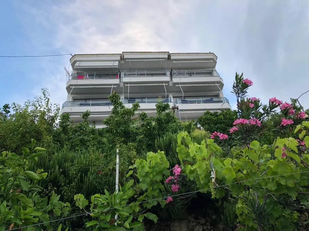Family Apartments in Palasë Dhërmi
