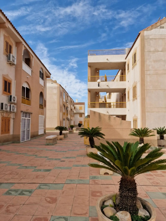"Vero Vijola" in Torrevieja