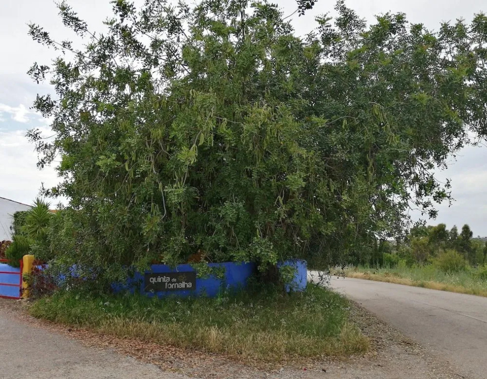 Quinta da Fornalha - Santuario Agroecologico