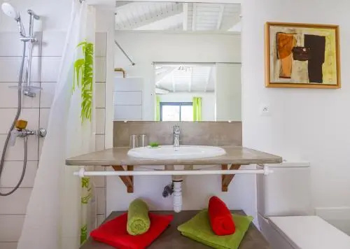 Villa Iguane House