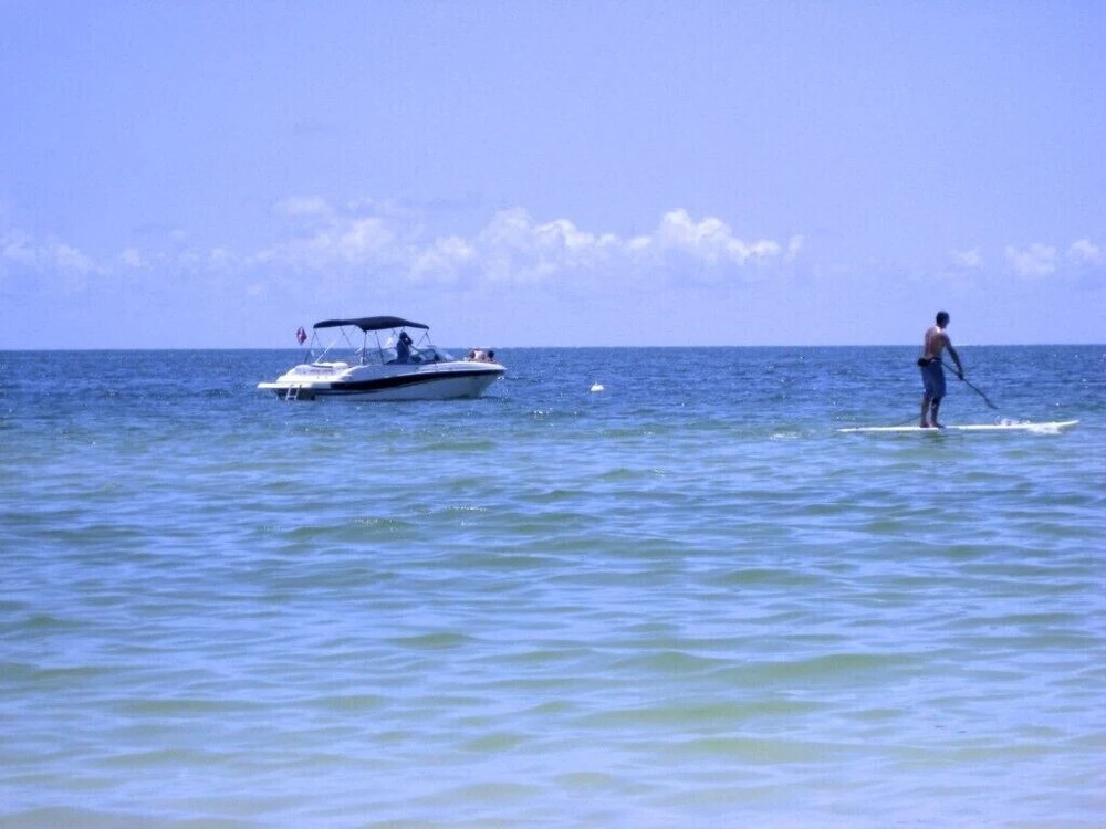 The Anna Maria Island Beach Sands 101