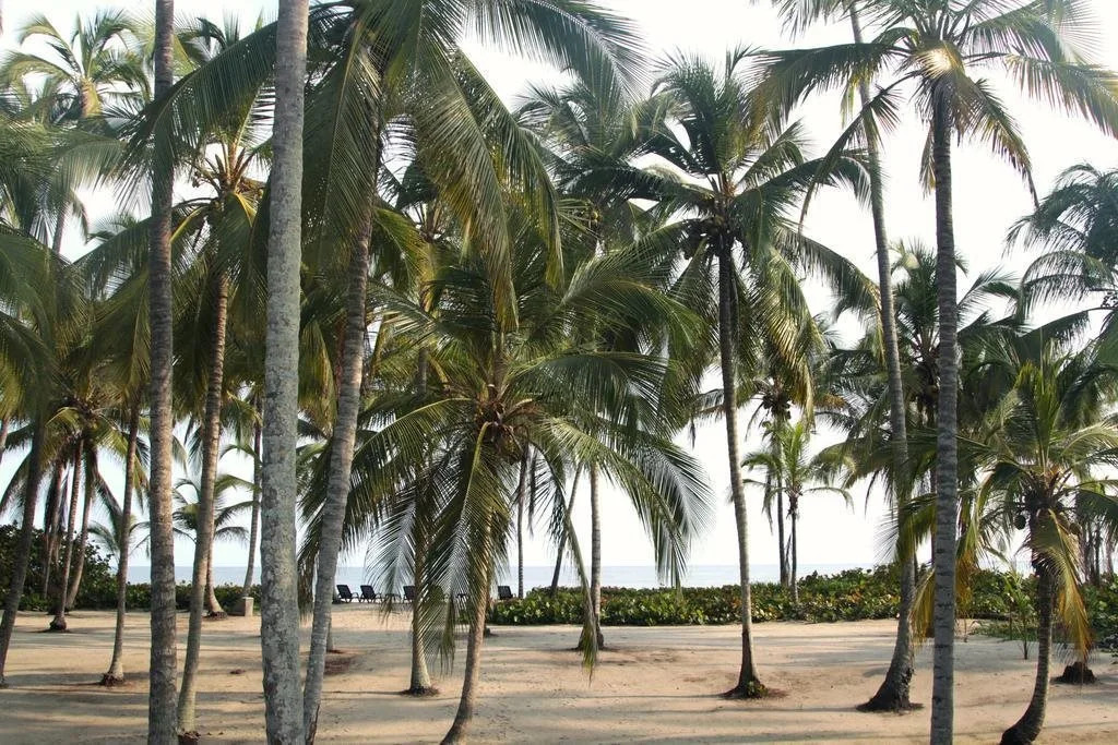 Tayrona Tented Lodge