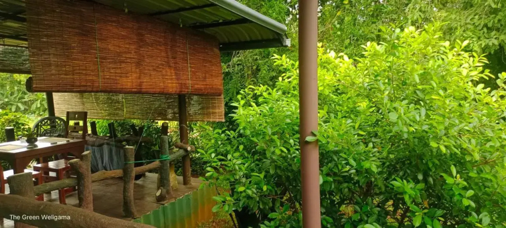 The Green Weligama