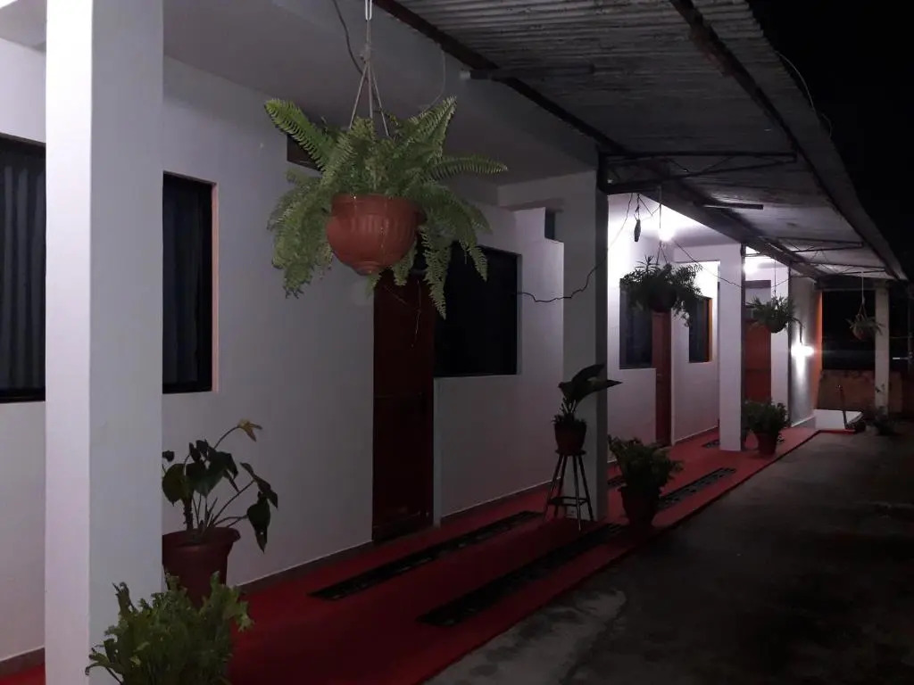 Shoffis House Backpackers