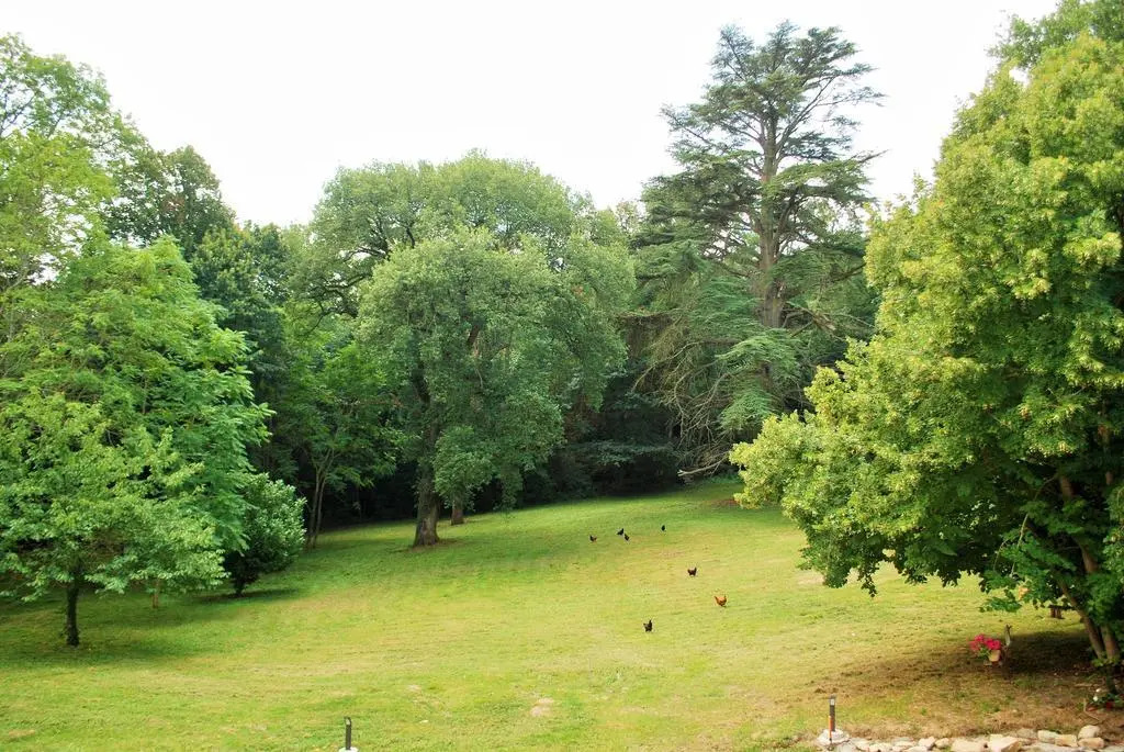Château Bel Aspect