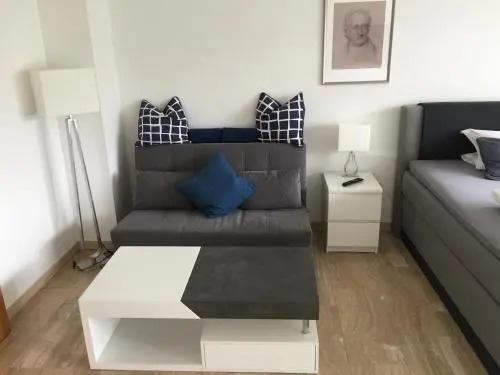 Apartment Goethe