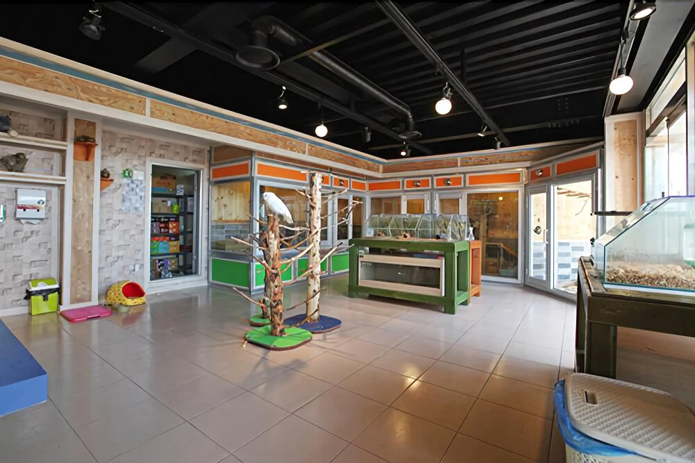 Jebudo Animal Café and Pension