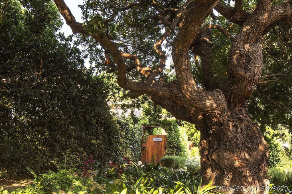 San Ysidro Ranch
