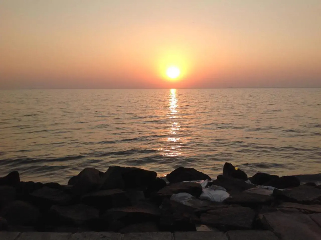 Cherai Onetree Retreat