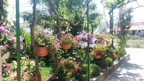 Guesthouse Lopar