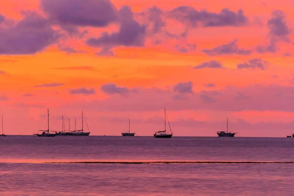 Key West Escapes - Luxury Yoga Vacations