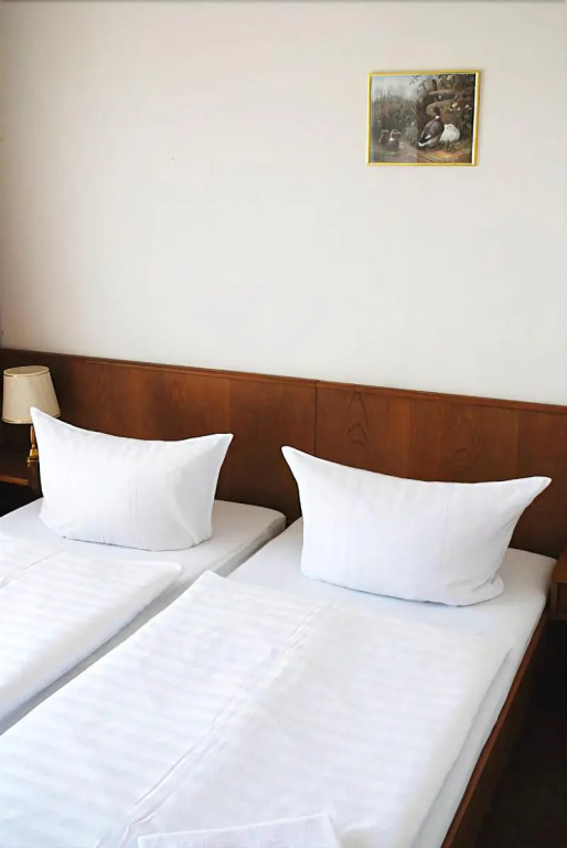 Hotel Zum goldenen Stern