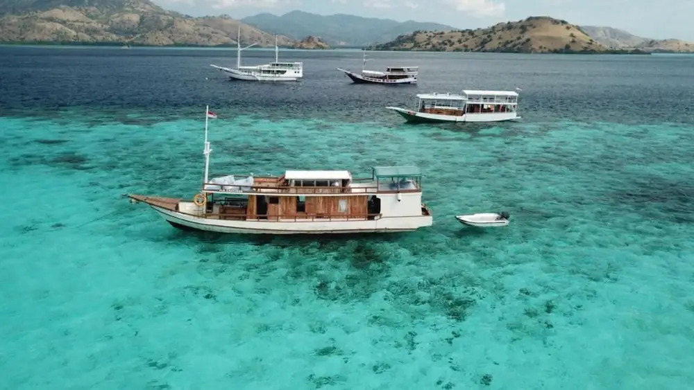 Regina Liveaboard