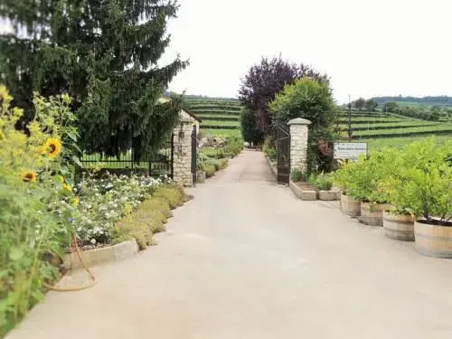 Villa Mattielli