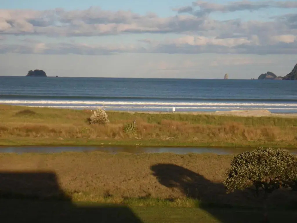 Absolute Beachview B & B