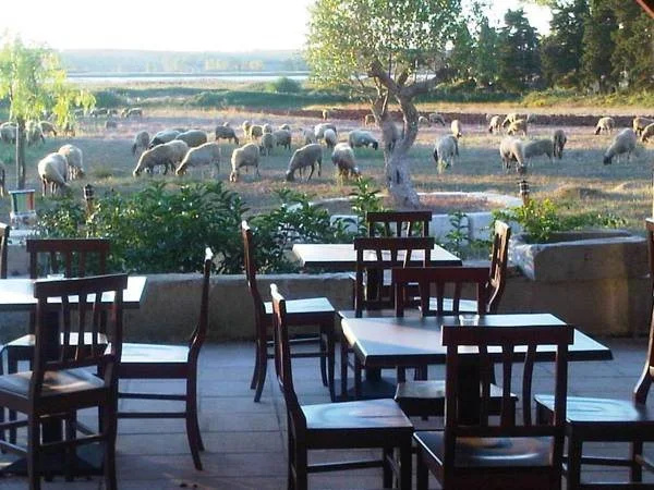 Agriturismo Podere San Michele