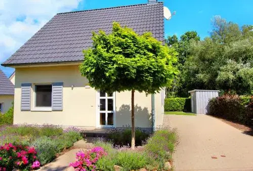 Haus Ahorn