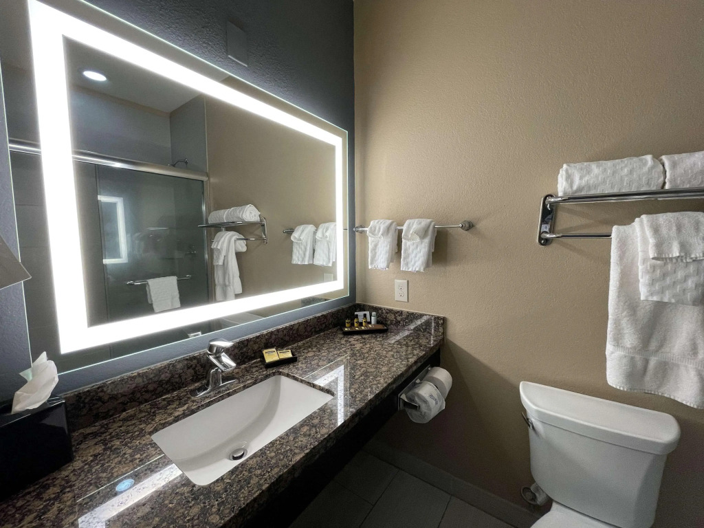 Best Western Plus Lake Jackson Inn & Suites