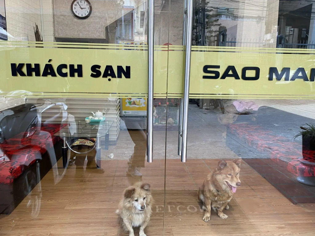 Sao Mai Tim Hotel