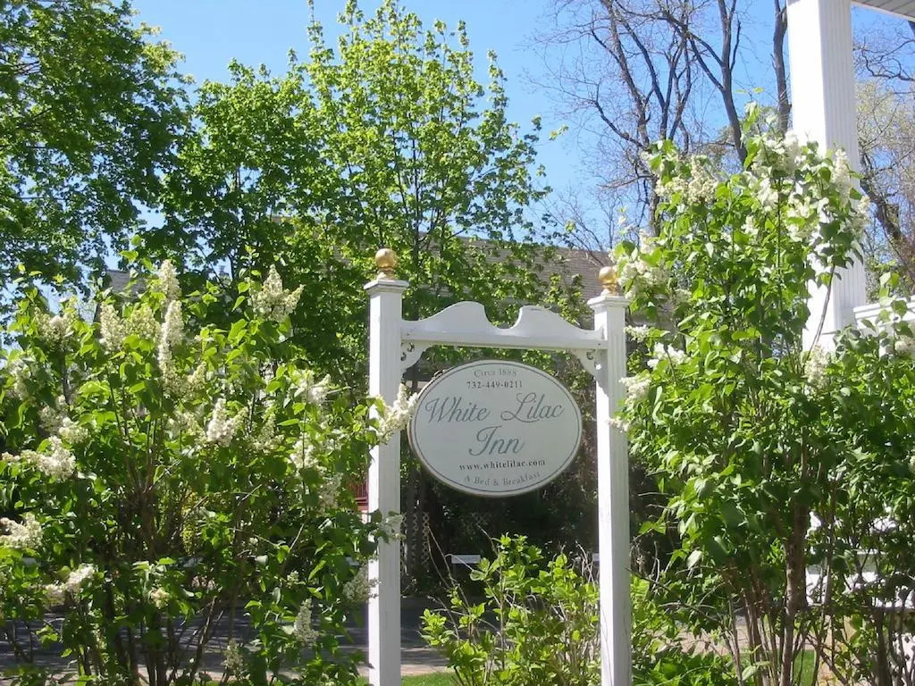 White Lilac Inn