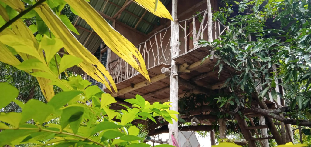 Sigiri Panaromic Tree House