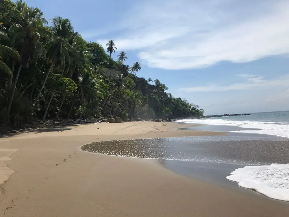 Ocean Oasis