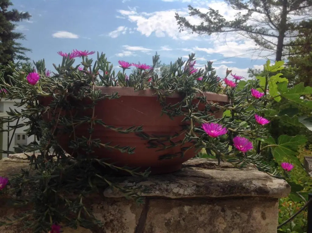 Holiday House Altea