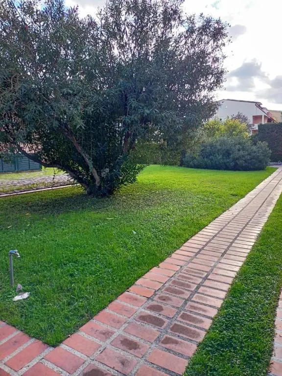 Grazioso appartamento a Loano