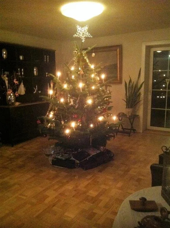 Sunset Bed & no Breakfast