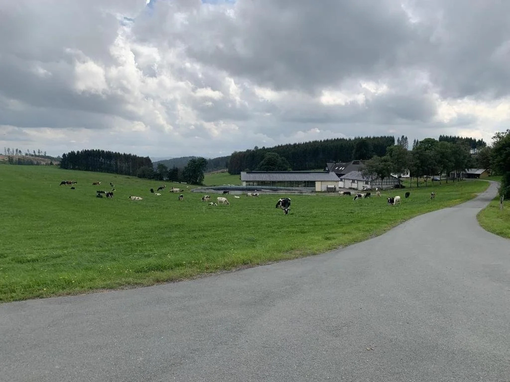 Pension Wittgensteiner Schweiz